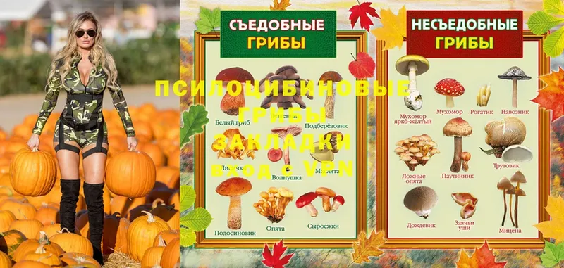 Псилоцибиновые грибы Magic Shrooms  Великий Устюг 